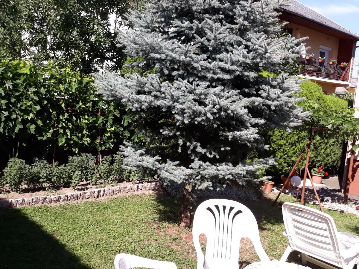 Lazar Apartmanok Хевиз Экстерьер фото