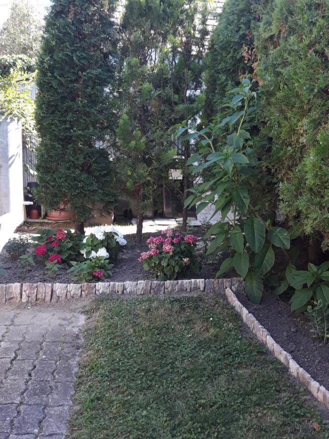 Lazar Apartmanok Хевиз Экстерьер фото